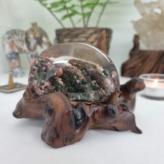 Jual Phantom in wooden stand