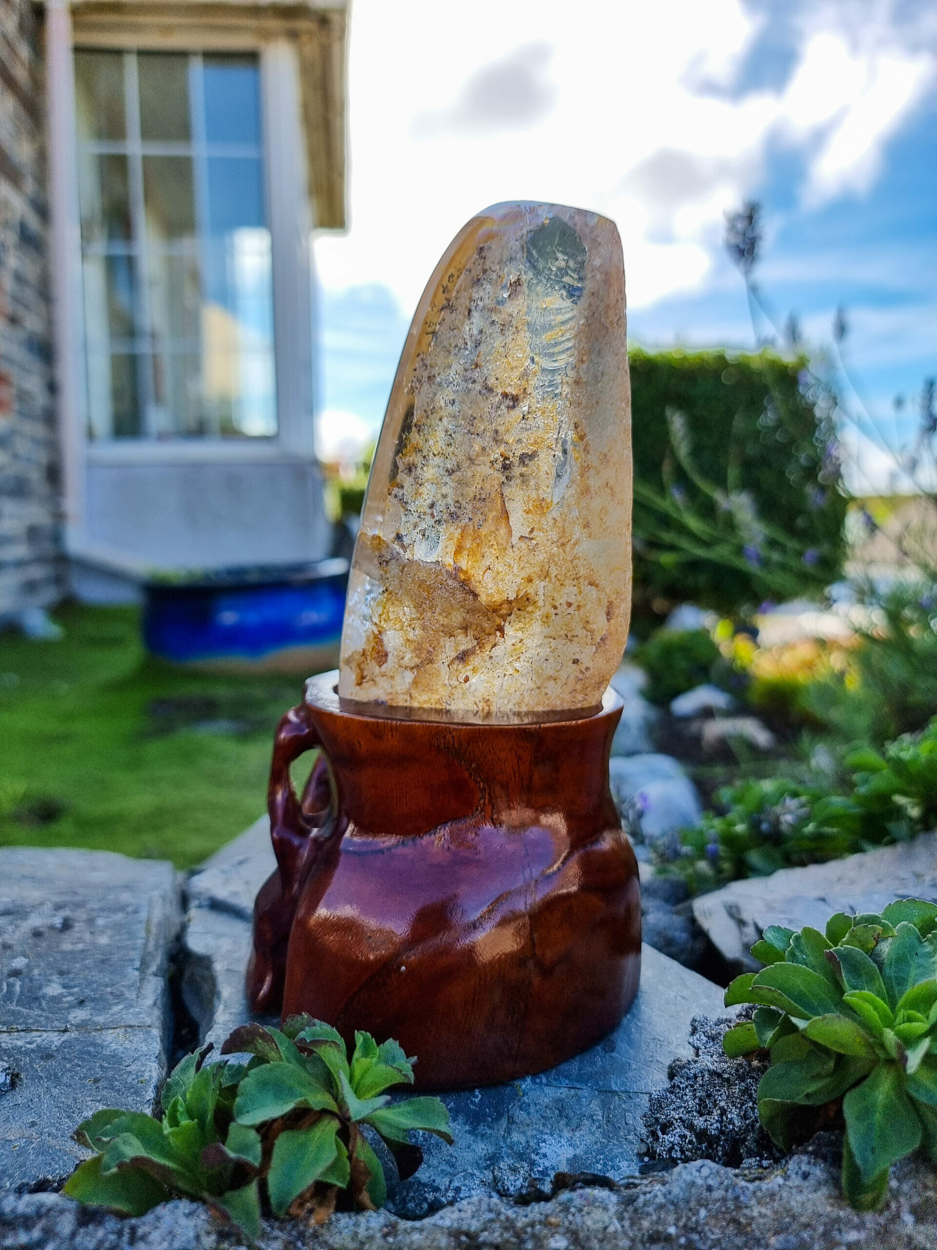 Quartz Crystal With Goethite Inclusions - Image 2
